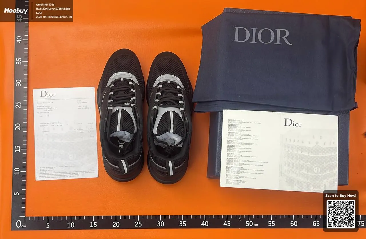 Dior B22